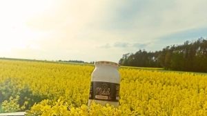 miod-rzepakowy (4).jpg