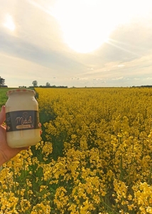 miod-rzepakowy (8).jpg