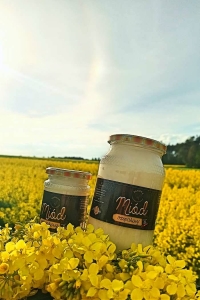 miod-rzepakowy-naturalny-nektarowy-2.jpg
